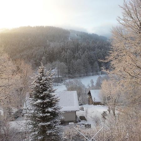 Villa Haus Vor den Eichen für Familien Willingen  Exterior foto