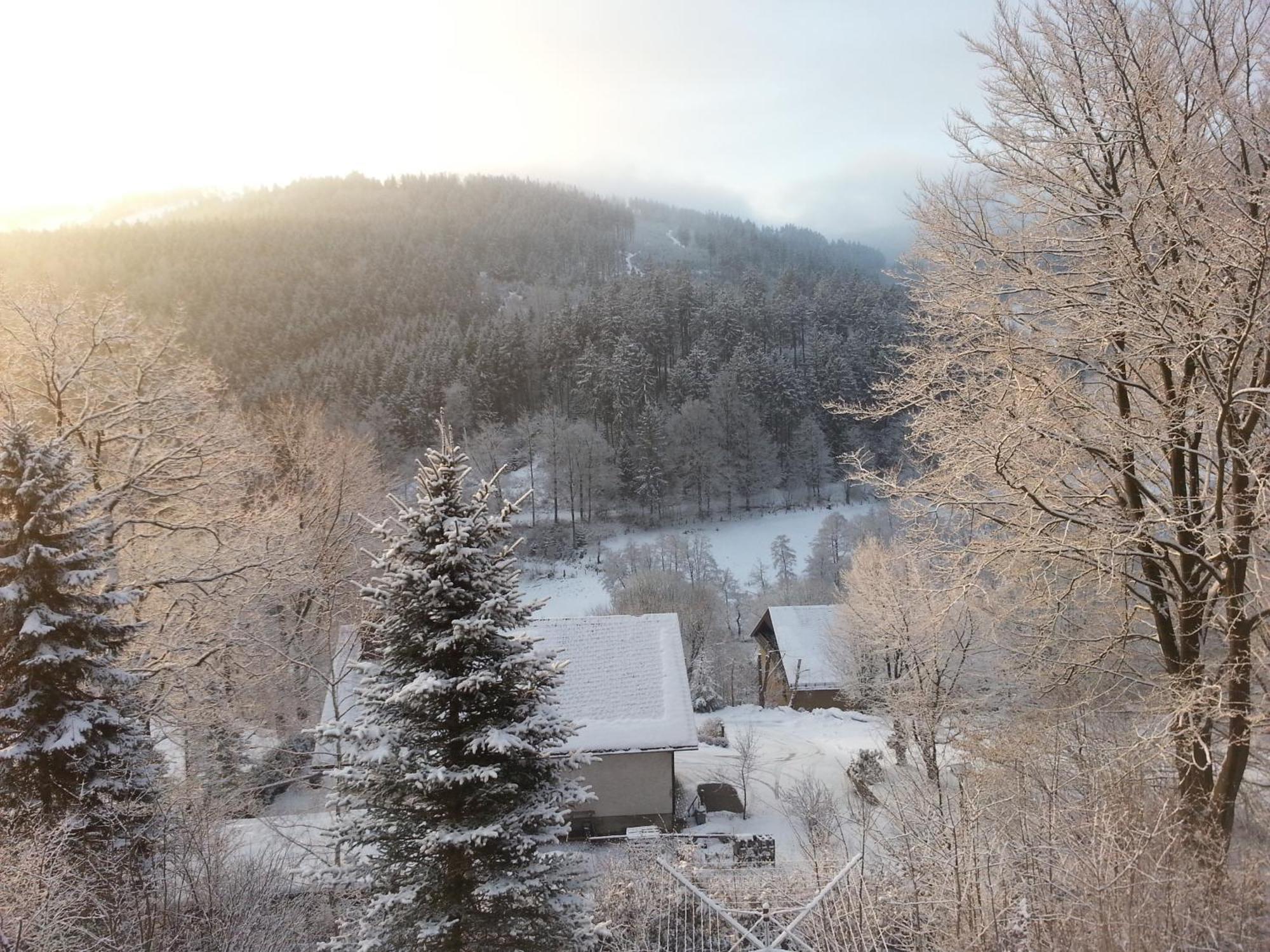 Villa Haus Vor den Eichen für Familien Willingen  Exterior foto